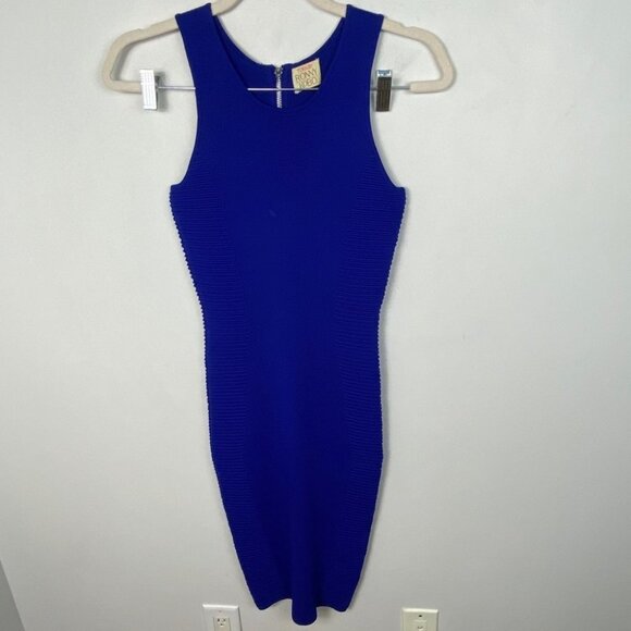 Torn by Ronny Kobo Exclusive Rib Detail Dress Royal Blue Size XS Sheath Stretch - Picture 2 of 9